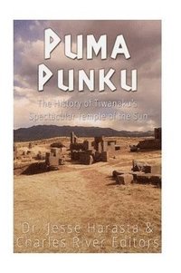 bokomslag Puma Punku
