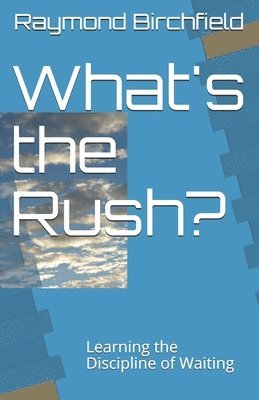 bokomslag What's the Rush?: Learning the Discipline of Waiting