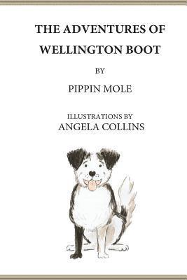 bokomslag The Adventures of Wellington Boot