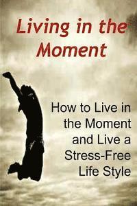 bokomslag Living in the Moment: How to Live in the Moment and Live a Stress-Free Life Style: Stress-Free, Stress-Free Book, Stress-Free Tips, Stress-F