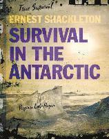 bokomslag Ernest Shackleton: Survival in the Antarctic