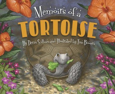 bokomslag Memoirs of a Tortoise