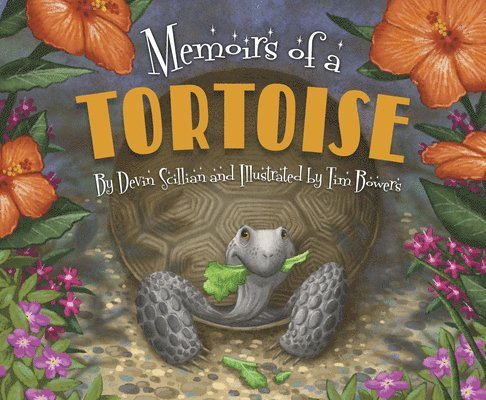 Memoirs of a Tortoise 1