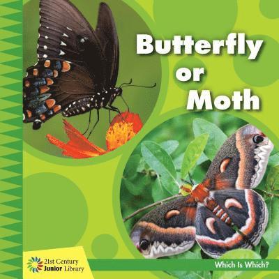 Tamra B. Orr - Butterfly or Moth, Inbunden