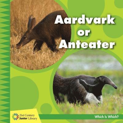 Aardvark or Anteater