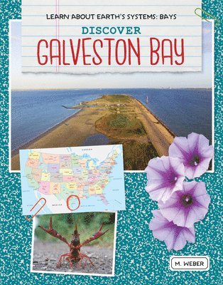 M. Weber - Discover Galveston Bay, Inbunden