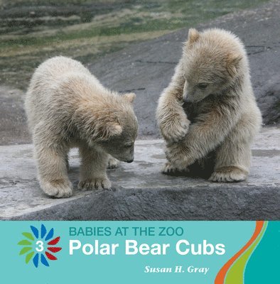 Susan H. Gray - Polar Bear Cubs, Häftad. Tillgänglighet: Tillfälligt slut