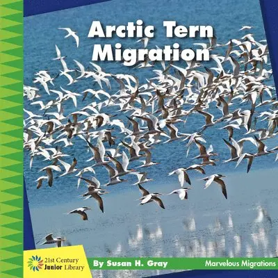 Susan H. Gray - Arctic Tern Migration, Inbunden. Tillgänglighet: Lägg i varukorg