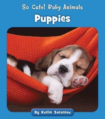 Katlin Sarantou - Puppies, Häftad