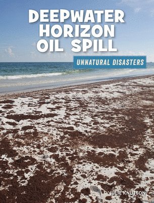 Julie Knutson - Deepwater Horizon Oil Spill, Inbunden