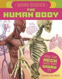 bokomslag Weird Science: The Human Body