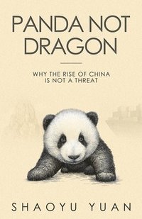 bokomslag Panda Not Dragon