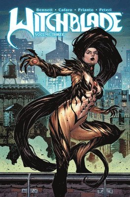 bokomslag Witchblade Volume 3