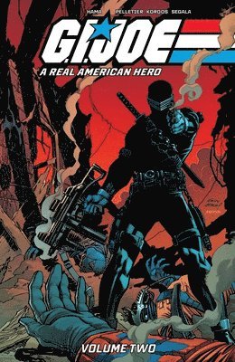 bokomslag G.I. Joe: A Real American Hero! Vol. 2