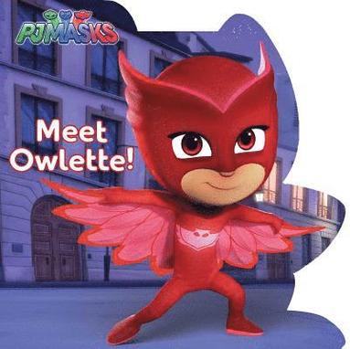 bokomslag Meet Owlette!