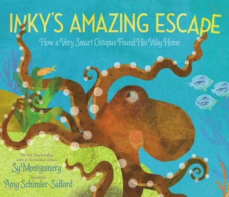 Inky's Amazing Escape: How a Very Smart Octopus Found His Way Home