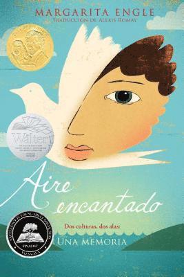 bokomslag Aire Encantado (Enchanted Air)