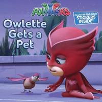 bokomslag Owlette Gets a Pet