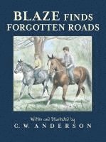 bokomslag Blaze Finds Forgotten Roads
