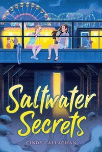 bokomslag Saltwater Secrets