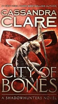 bokomslag City of Bones