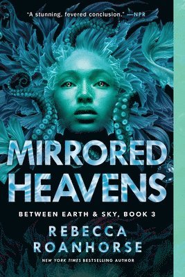 Mirrored Heavens 1