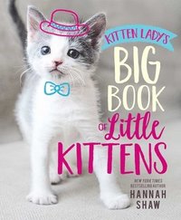 bokomslag Kitten Lady's Big Book of Little Kittens