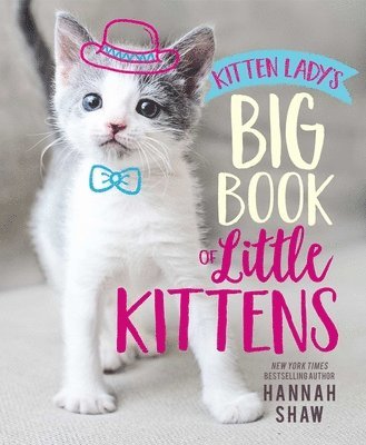 Kitten Lady's Big Book of Little Kittens 1