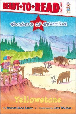 Yellowstone 1