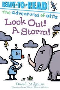 bokomslag Look Out! a Storm!: Ready-To-Read Pre-Level 1