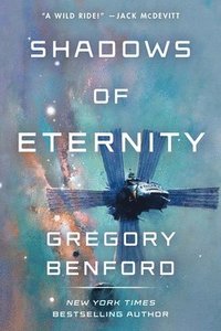 bokomslag Shadows of Eternity