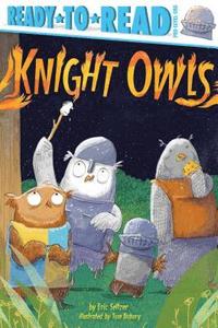 bokomslag Knight Owls