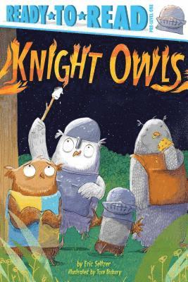 bokomslag Knight Owls: Ready-To-Read Pre-Level 1