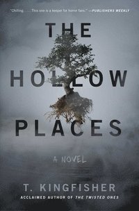 bokomslag Hollow Places