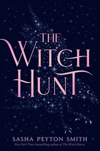bokomslag The Witch Hunt