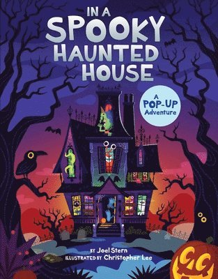 Joel Stern - In a Spooky Haunted House, Kartonnage