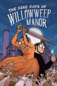 bokomslag Dire Days Of Willowweep Manor