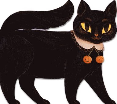 bokomslag One Black Cat