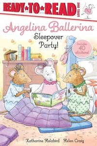 bokomslag Sleepover Party!