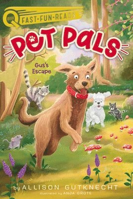 Allison Gutknecht - Gus's Escape, Inbunden