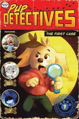 bokomslag The First Case