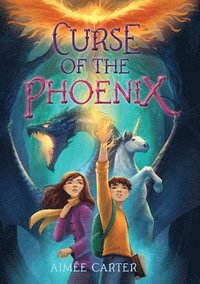 bokomslag Curse of the Phoenix