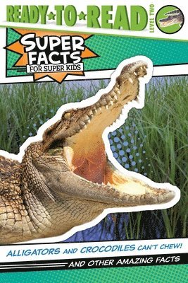 Thea Feldman - Alligators and Crocodiles Can't Chew!: And Other Amazing Facts (Ready-To-Read Level 2), Häftad