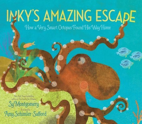 Inky's Amazing Escape: How a Very Smart Octopus Found His Way Home