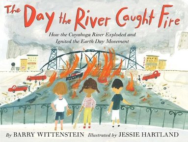 Barry Wittenstein - The Day the River Caught Fire, Inbunden