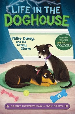 Millie, Daisy, and the Scary Storm 1
