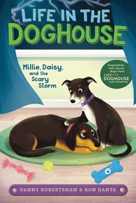 Millie, Daisy, and the Scary Storm 1