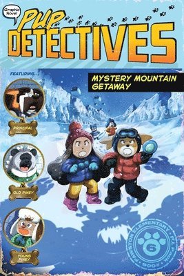 Mystery Mountain Getaway 1