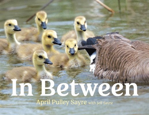 April Pulley Sayre - In Between, Inbunden