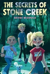 bokomslag The Secrets of Stone Creek